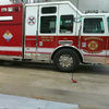 chrisdale31